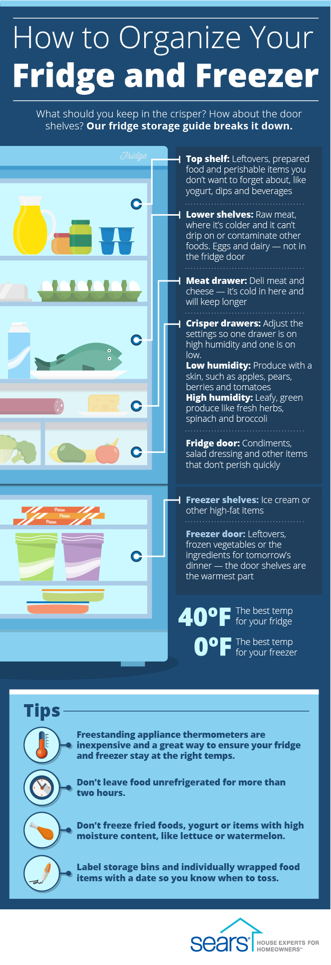 Amazing Tips to Storing Food in the Fridge